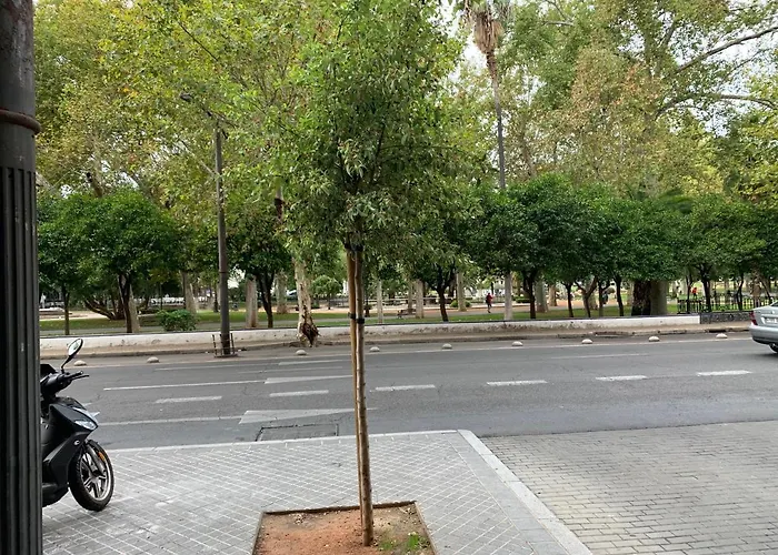 Center Flat Tejares